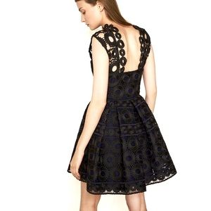 Maje | Rodeo Lace Mini Dress High Neck